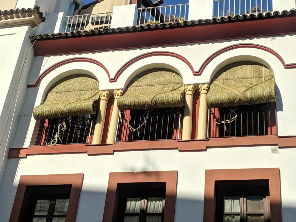 דירות קורדובה El Capricho De San Fernando, Consigna Gratis Y Parking A 200Mts מראה חיצוני תמונה